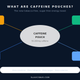Caffeine Pouches: What They Are, How They Work, and Who Uses Them (2026)