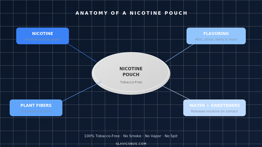 What Are Nicotine Pouches and How Do They Work? Complete Guide (2026)