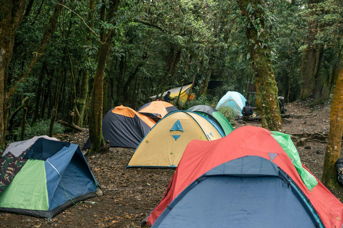 nicotine pouches camping glamping Europe 2026