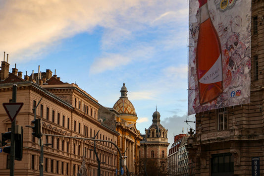 nicotine pouches Hungary 2026 Budapest complete guide