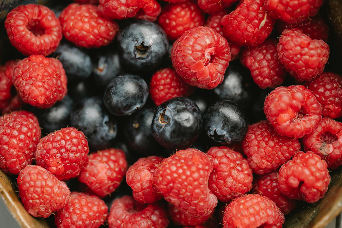 Best berry nicotine pouches Europe 2026